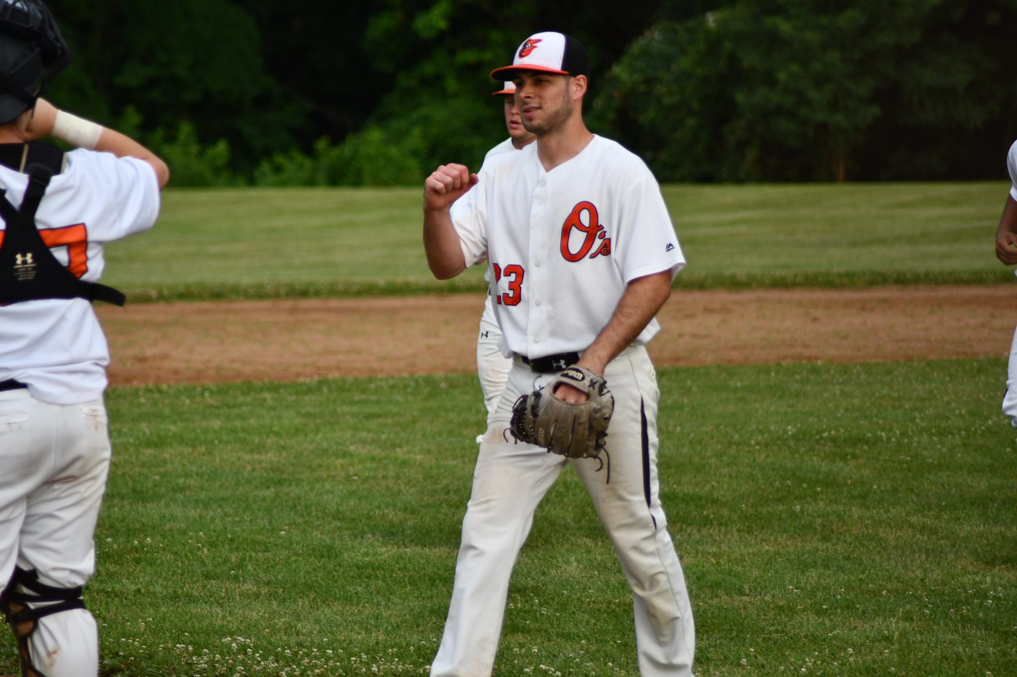 Horsham Little League Baseball > Home