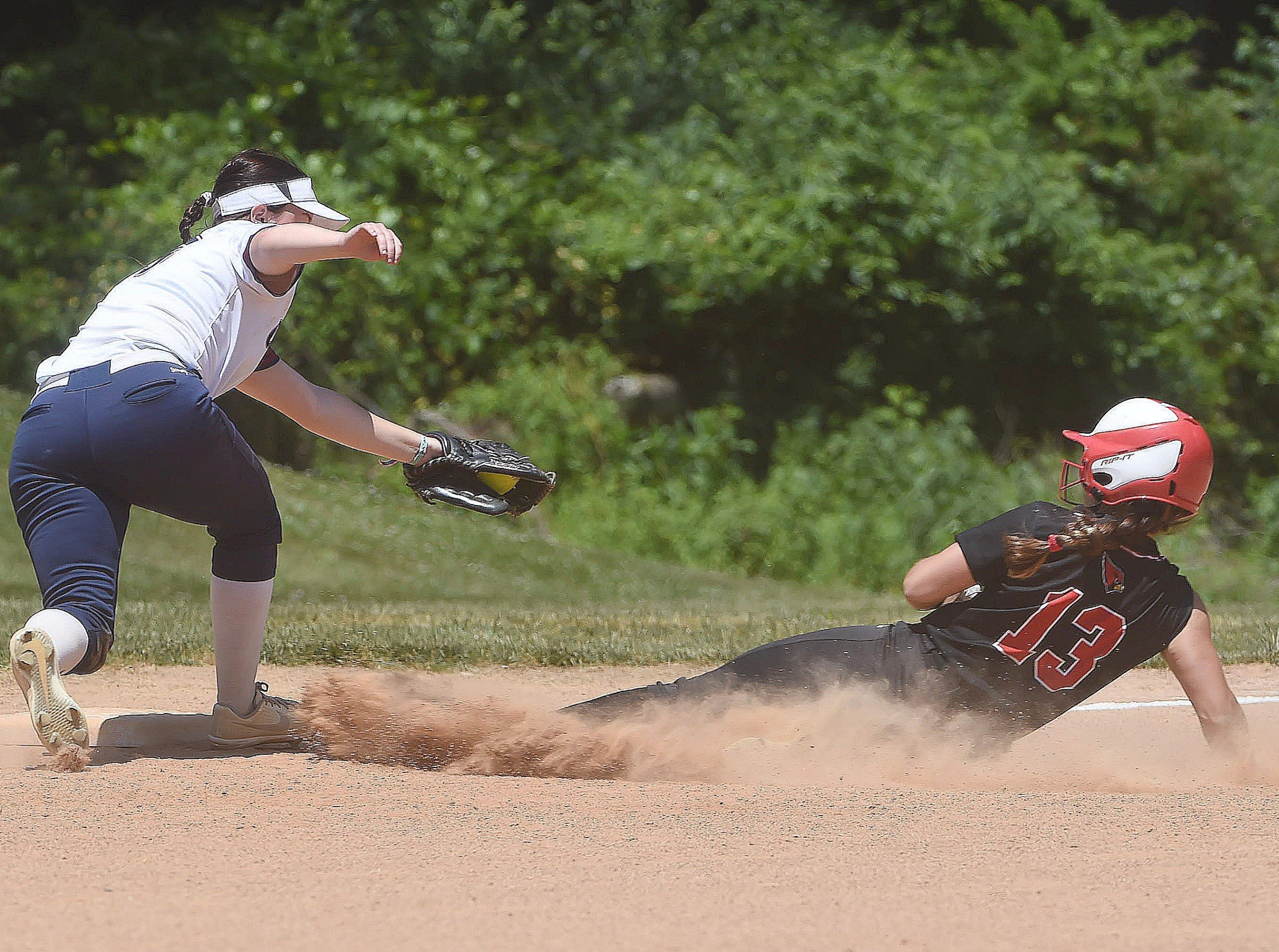 Dublin Lions baseball team end short season